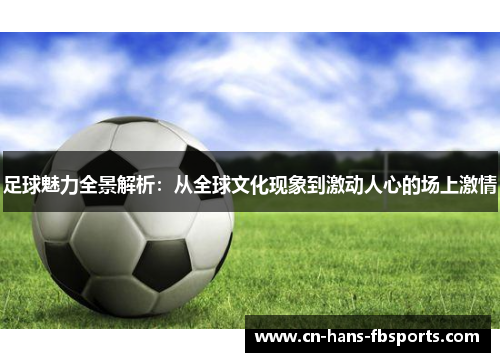 足球魅力全景解析：从全球文化现象到激动人心的场上激情