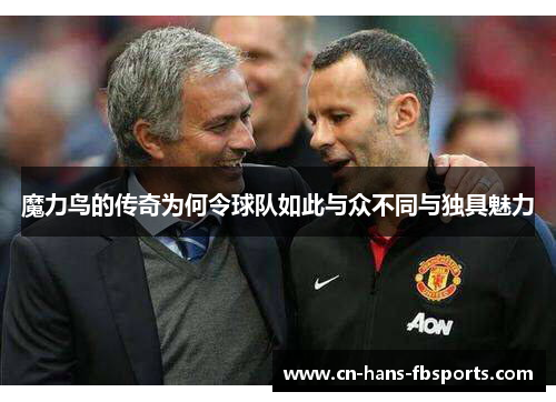 魔力鸟的传奇为何令球队如此与众不同与独具魅力